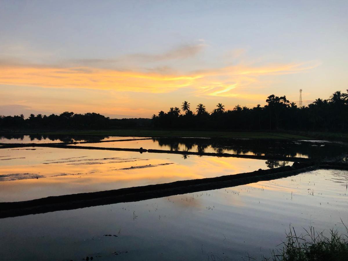 Rice Field View Home Stay Tangalle Bagian luar foto